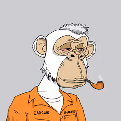 1707