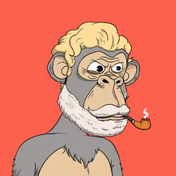 Elderly Ape #4093
