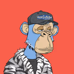 Elderly Ape #1593