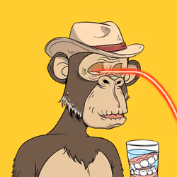Elderly Ape #3272