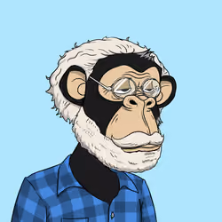 Elderly Ape #235