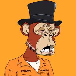Elderly Ape #3929