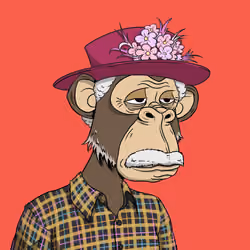 Elderly Ape #2394