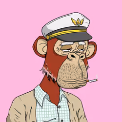 Elderly Ape #2733