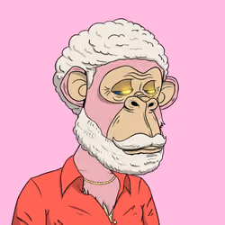 Elderly Ape #2796