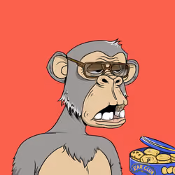 Elderly Ape #4583