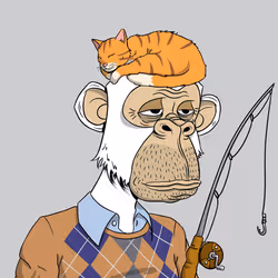 50