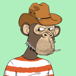 Elderly Ape #2586