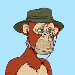 Elderly Ape #880