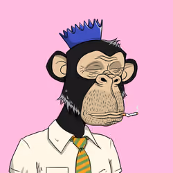 Elderly Ape #2555
