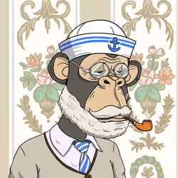 Elderly Ape #3049