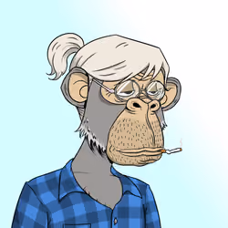 Elderly Ape #1539
