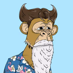 Elderly Ape #802