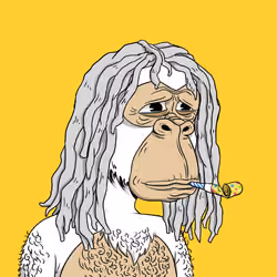 Elderly Ape #2391