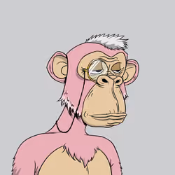 Elderly Ape #1349