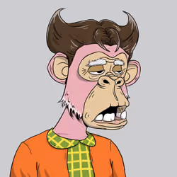 Elderly Ape #4663