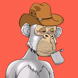 Elderly Ape #2812