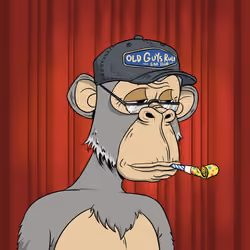 Elderly Ape #2690