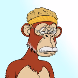 Elderly Ape #584