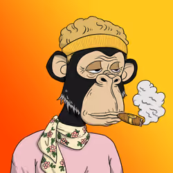 Elderly Ape #2517