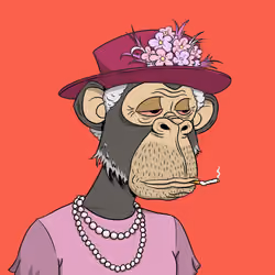 Elderly Ape #3053