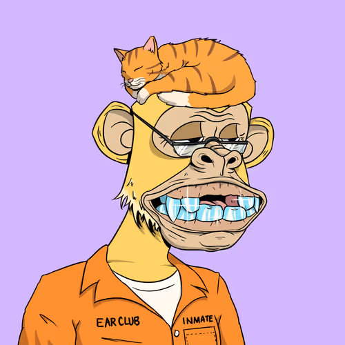 Elderly Ape #4973