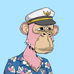 Elderly Ape #840