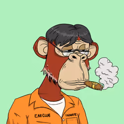 Elderly Ape #3037