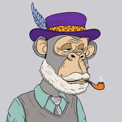 Elderly Ape #1922
