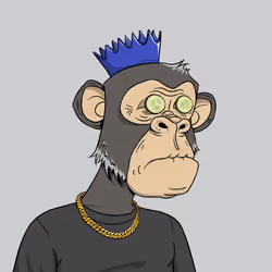 Elderly Ape #1579