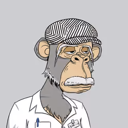 Elderly Ape #3281