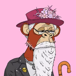 Elderly Ape #3770
