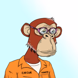 Elderly Ape #4933