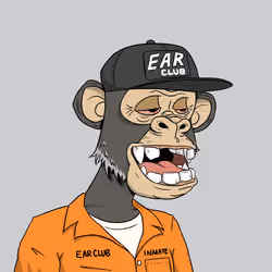 Elderly Ape #3753