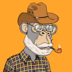 Elderly Ape #934