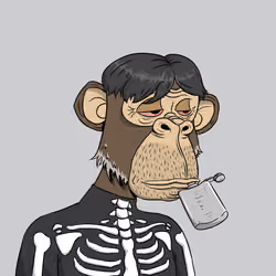 Elderly Ape #1498