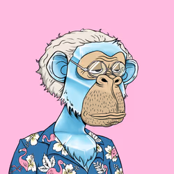 Elderly Ape #1234