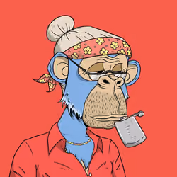 Elderly Ape #475