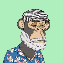 Elderly Ape #3368