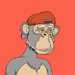 Elderly Ape #3055