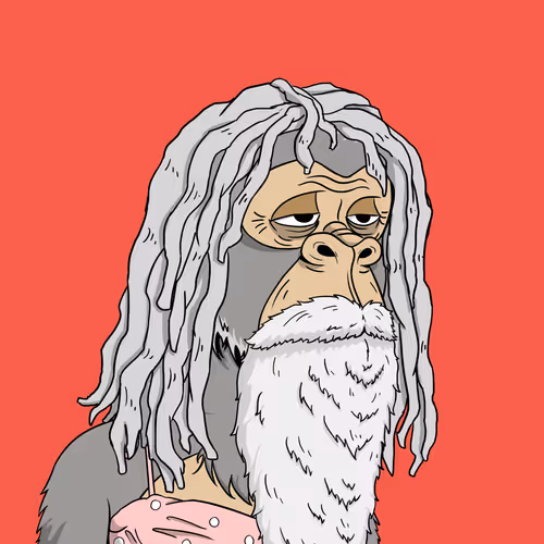 Elderly Ape #1300