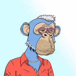 Elderly Ape #4941