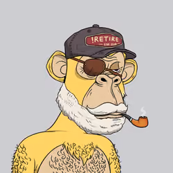 Elderly Ape #4927