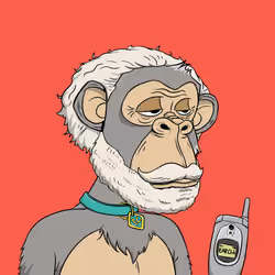 Elderly Ape #3214