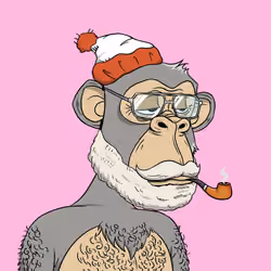 Elderly Ape #3697