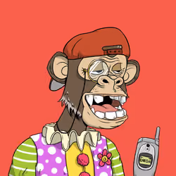 Elderly Ape #589