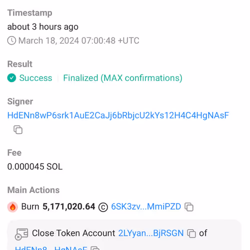 $SLERF BURN