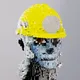 6098