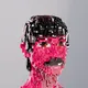 4161