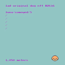 (IN KENNEL) Original DOG #2616